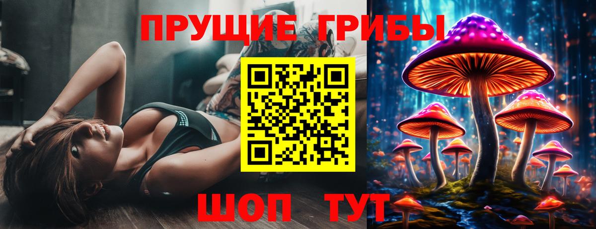 Майский  Галлюциногенные грибы Cubensis  Вход с VPN 